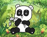 Un oso panda