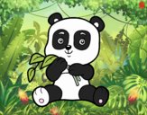 Un oso panda