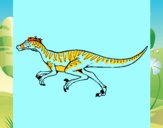 Velociraptor