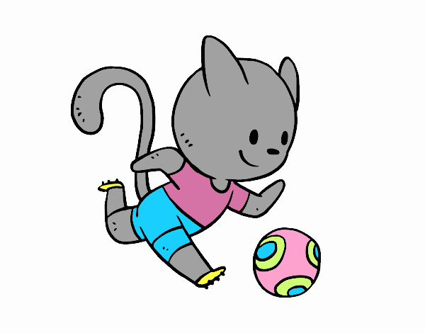 Gato jugando a fútbol