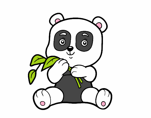 Un oso panda