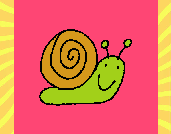 Caracol 4