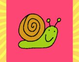 Caracol 4