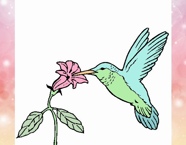 Dibujo de Colibrí y una flor pintado por en  el día 27-07-19 a  las 11:53:03. Imprime, pinta o colorea tus propios dibujos!