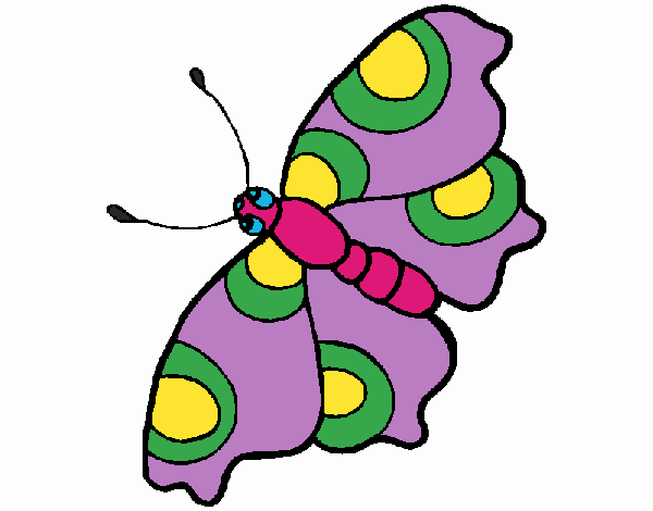 Mariposa 11