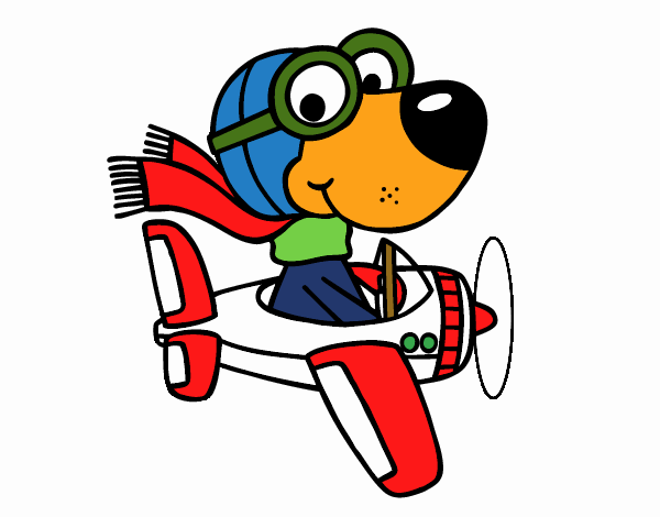 Perro piloto