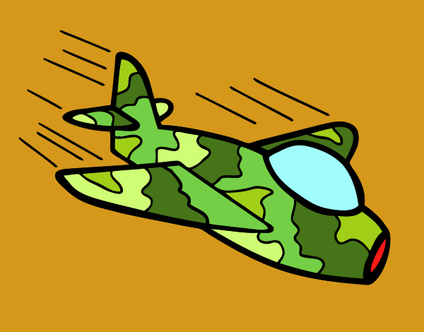 AVION CAMUFLADO