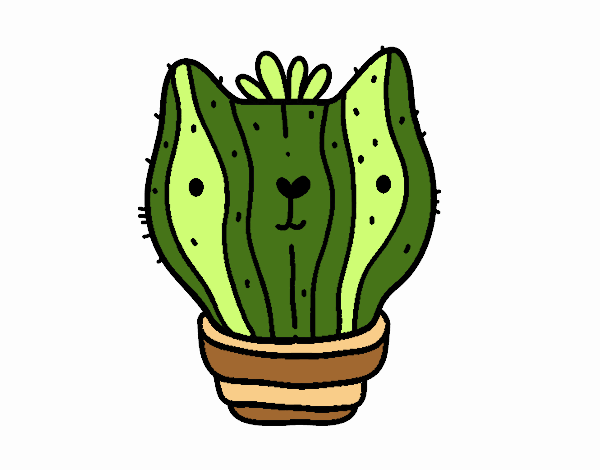 Cactus gato