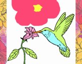 Colibrí y una flor