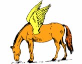 Pegaso 1