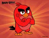 Red de Angry Birds