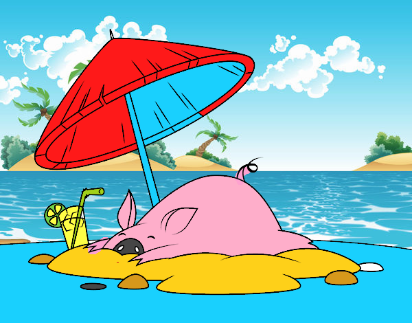 Cerdito en la playa