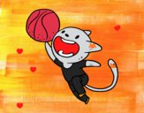 Gato jugando a baloncesto