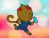 Gato runner