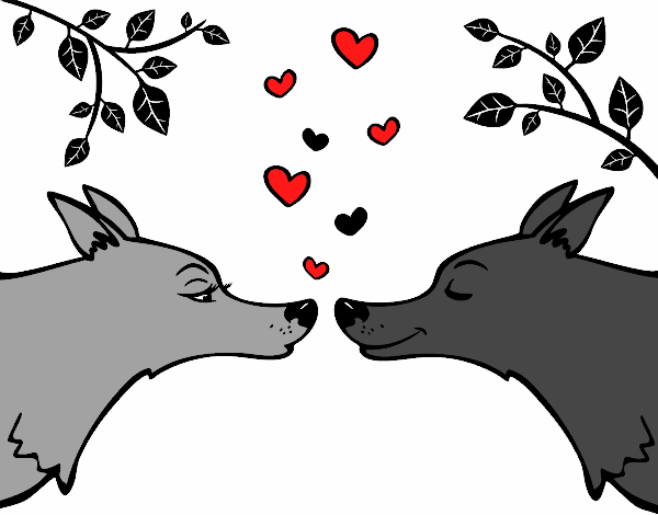 Lobos enamorados