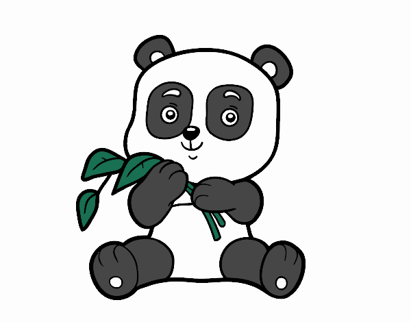 Un oso panda