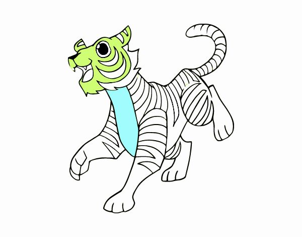 Un tigre de bengala