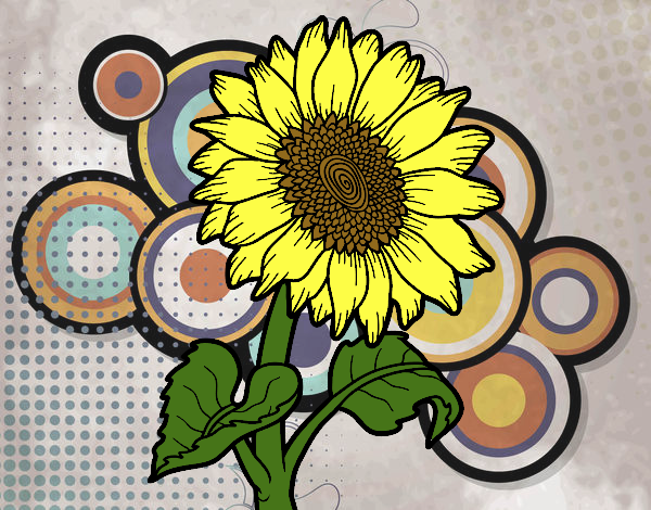 mi girasol