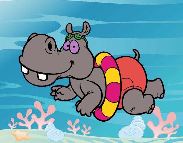 Hipopótamo nadando