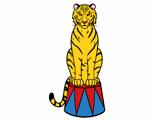 Tigre de circo
