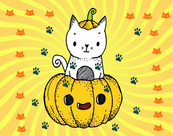 Un gatito de Halloween