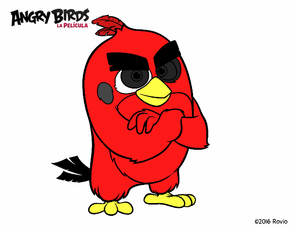 Red de Angry Birds