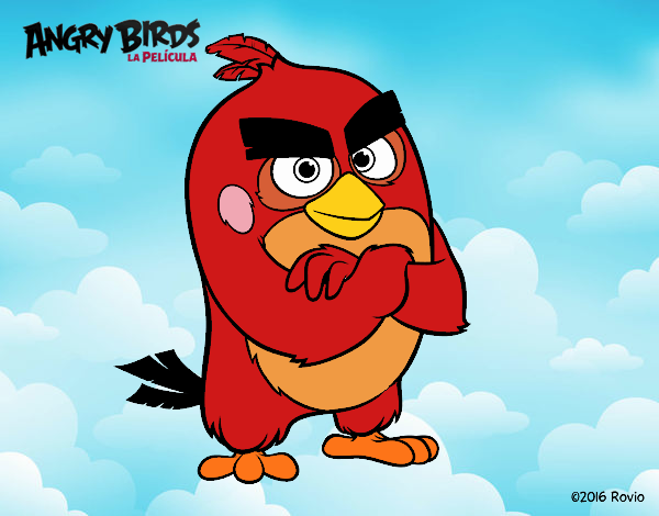 Red de Angry Birds