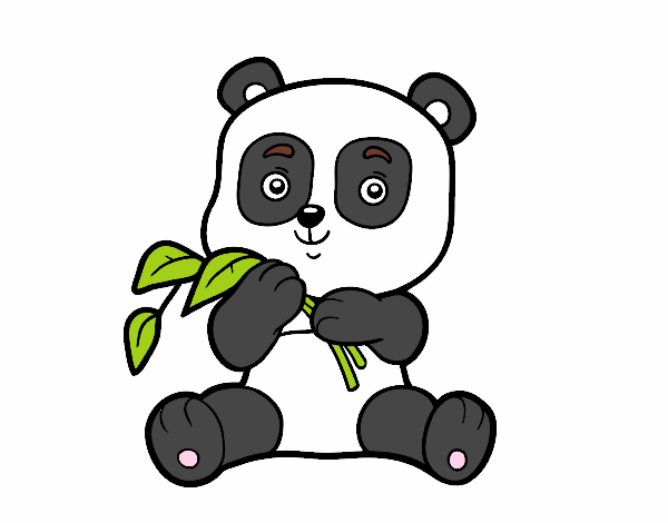 Dibujo de Un oso panda pintado por en  el día 25-08-19 a las  00:23:16. Imprime, pinta o colorea tus propios dibujos!