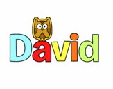 David