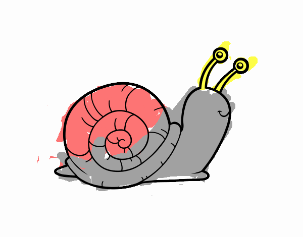 THAY CARACOL