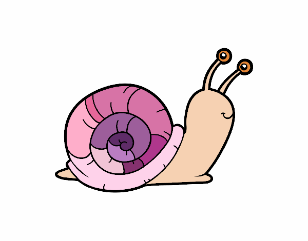 El caracol