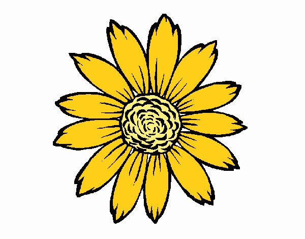 Dibujo de Girasol pintado por en  el día 27-08-19 a las  12:32:35. Imprime, pinta o colorea tus propios dibujos!