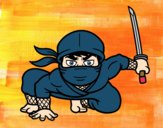 Ninja japonés