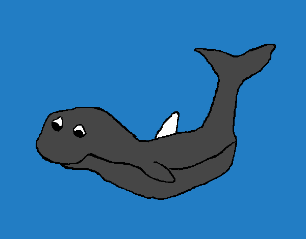 Pequeña ballena