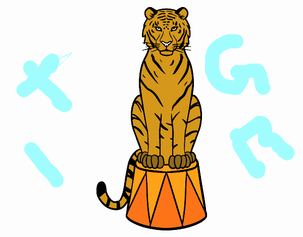 Tigre de circo