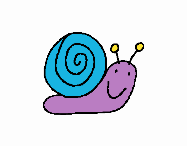 Caracol 4