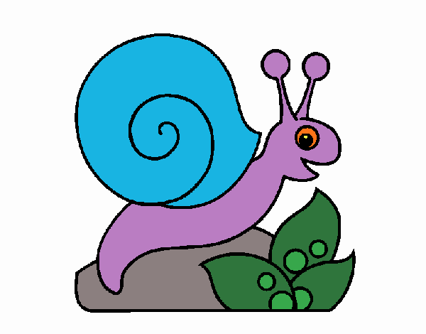 Caracol