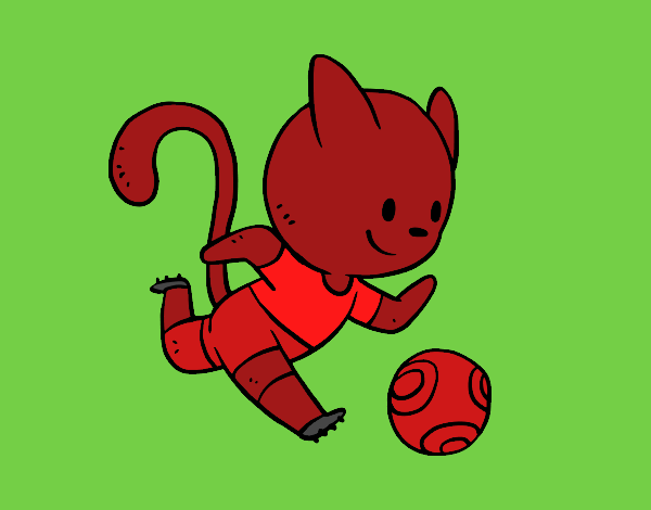 Gato jugando a fútbol