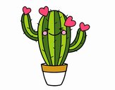 Cactus corazón