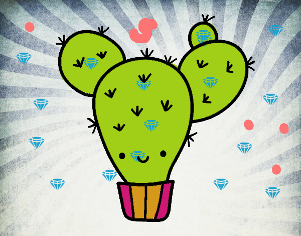 cactus de sarita