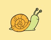 El caracol