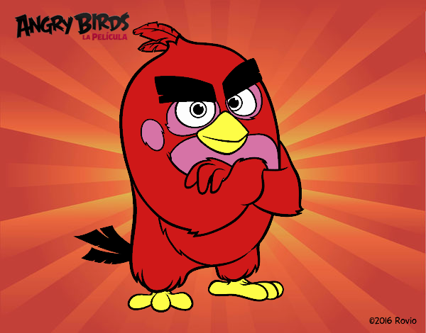 Red de Angry Birds