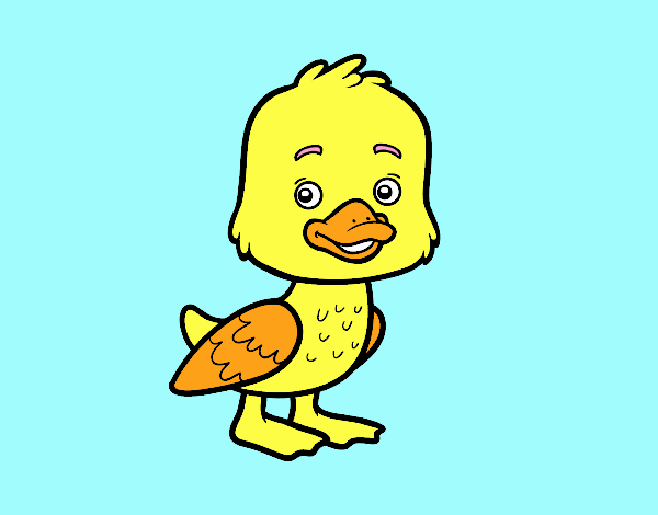 Un patito