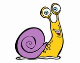 Caracol feliz