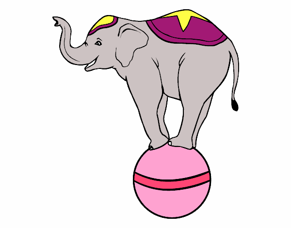 Elefante equilibrista