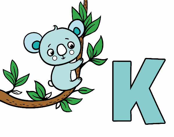 K de Koala