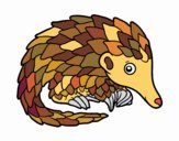 Pangolin