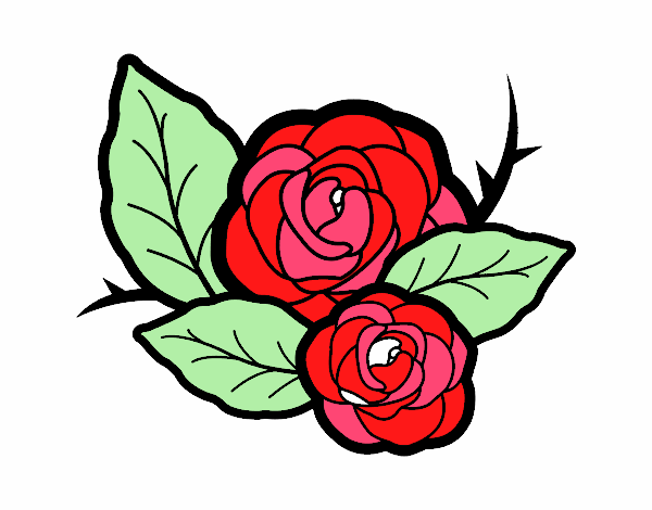 Dos rosas