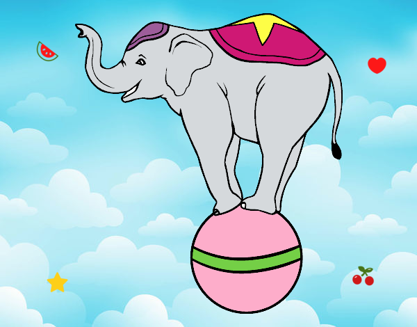 Elefante equilibrista