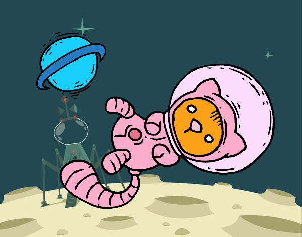 Gatito astronauta